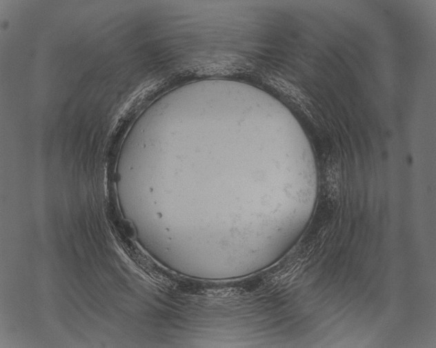 X0000068810686200605261526