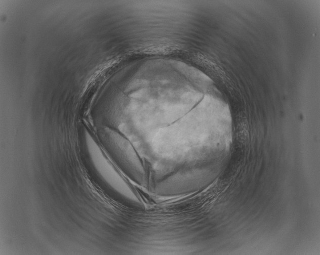 X0000068810688200605261526