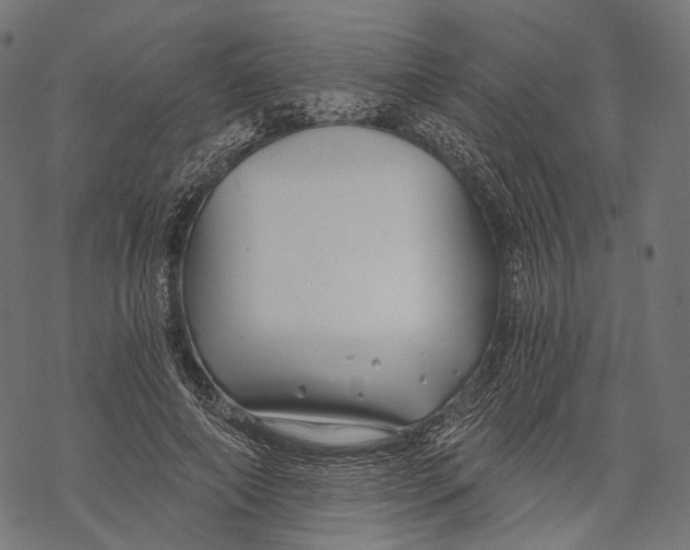 X0000068810690200605261526