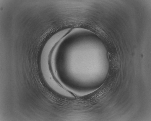 X0000068810693200605261526