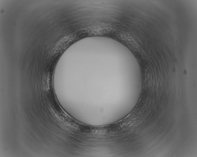 X0000068810694200605261526