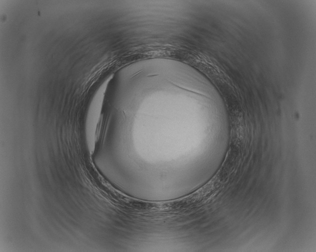 X0000068810696200605261526