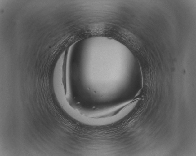 X0000068810697200605261526