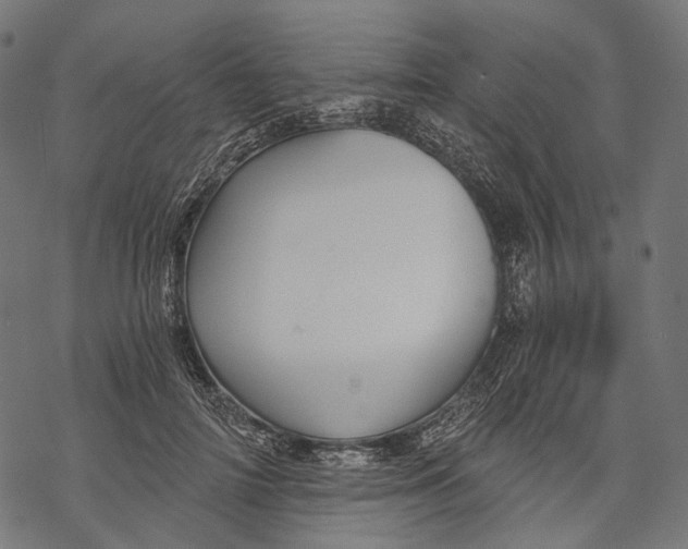 X0000068810698200605261526