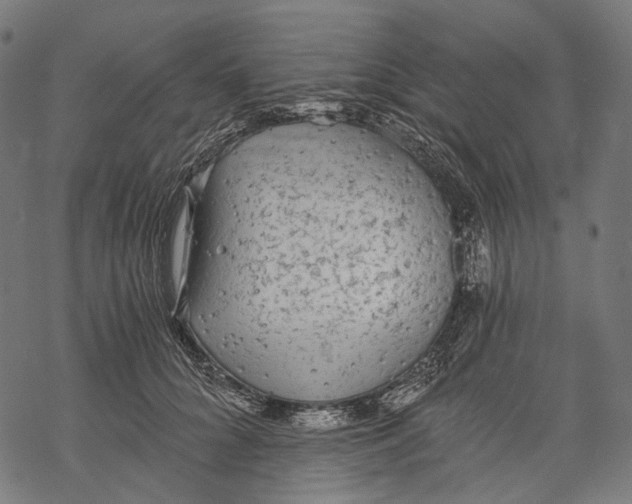 X0000068810704200605261526