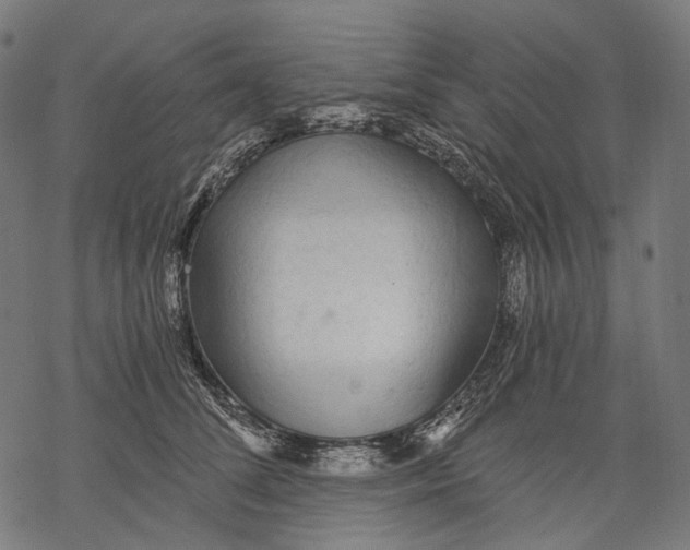 X0000068810708200605261526