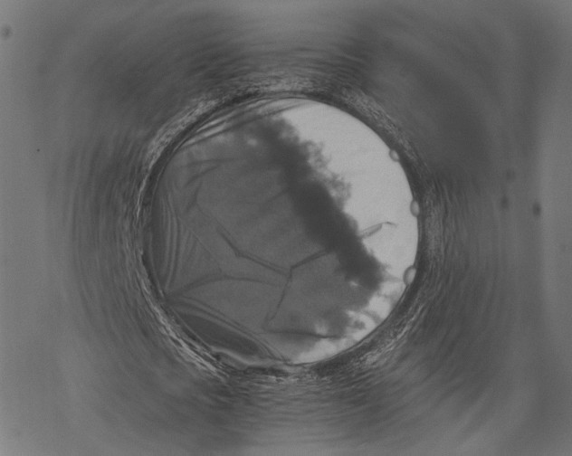 X0000068810721200605261525