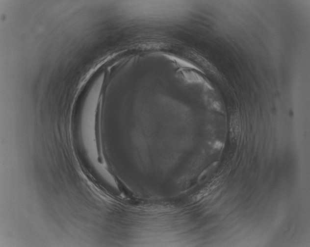 X0000068810722200605261525