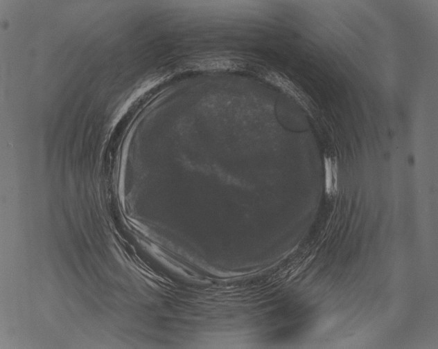 X0000068810723200605261525