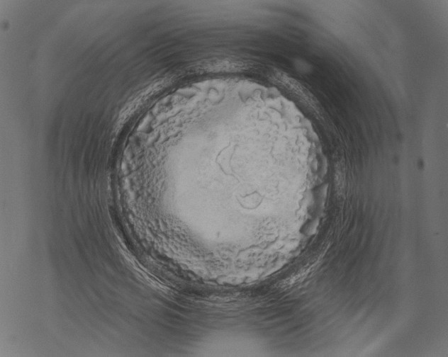 X0000068810725200605261525