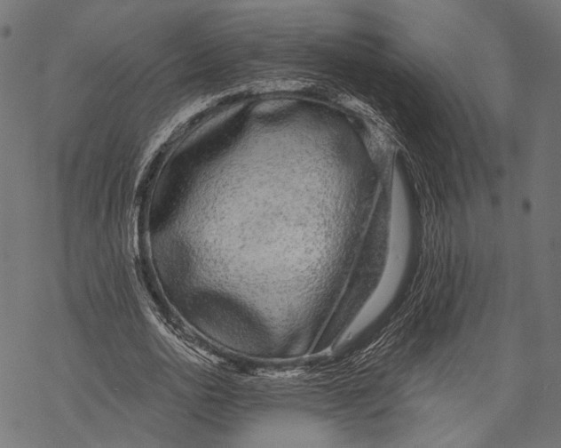 X0000068810726200605261525
