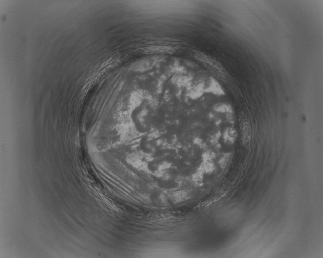 X0000068810729200605261525