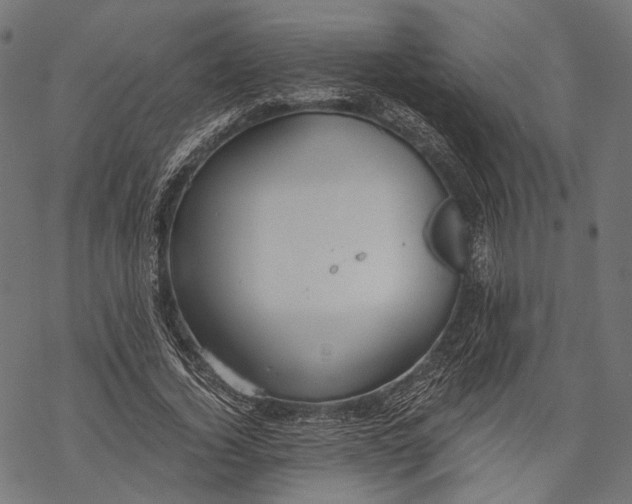 X0000068810732200605261525