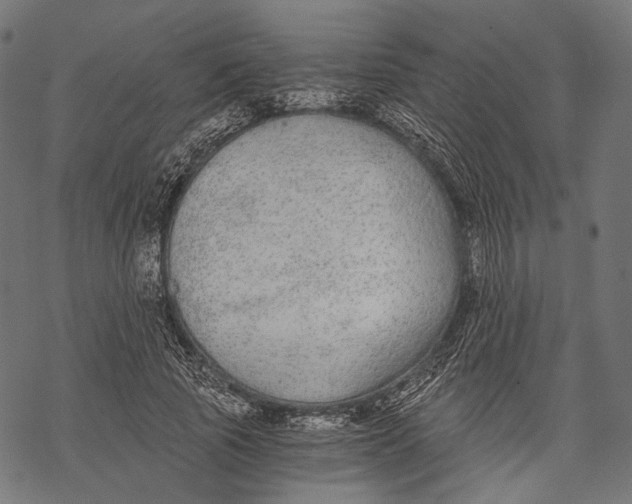 X0000068810737200605261525