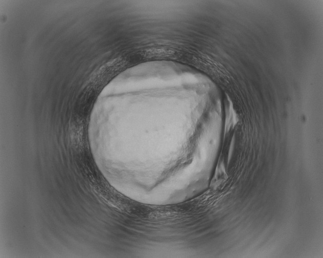X0000068810745200605261525