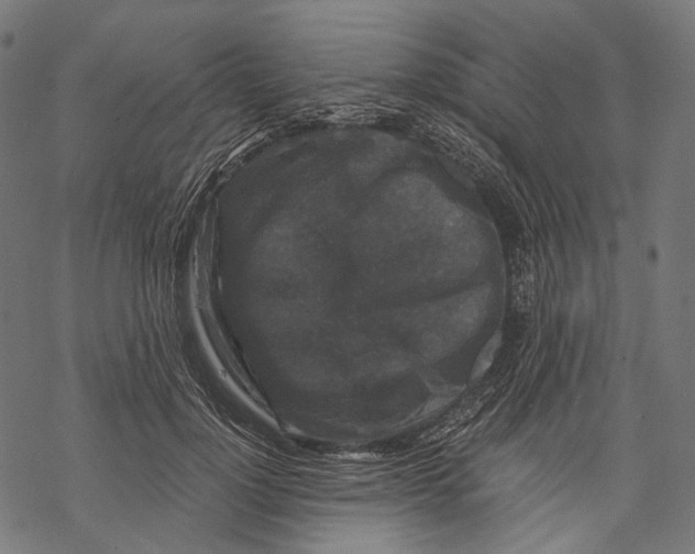 X0000068810748200605261525