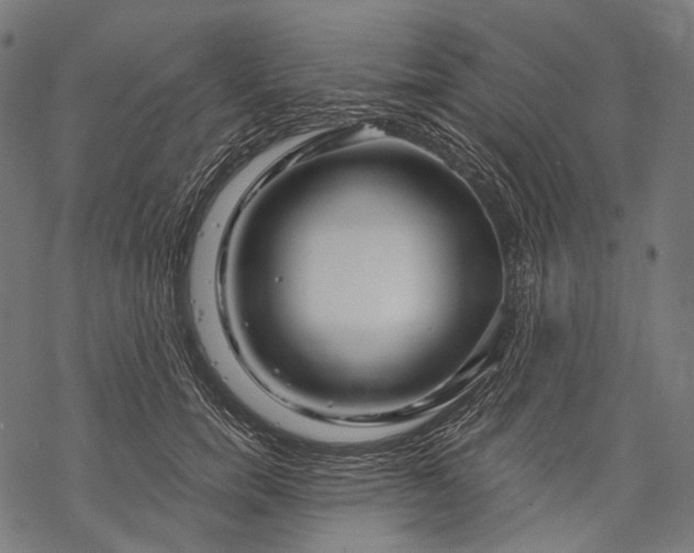 X0000068810750200605261525