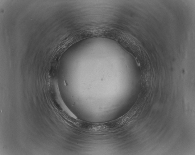 X0000068810752200605261525