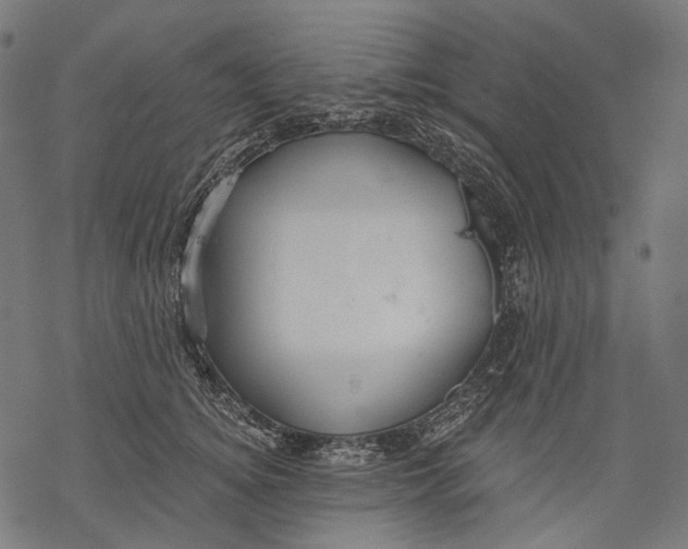 X0000068810756200605261525