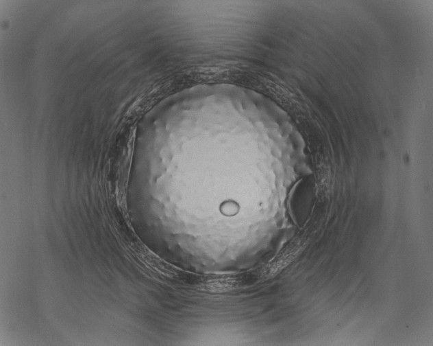 X0000068810758200605261525