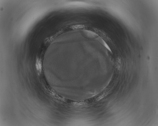 X0000068810763200605261525
