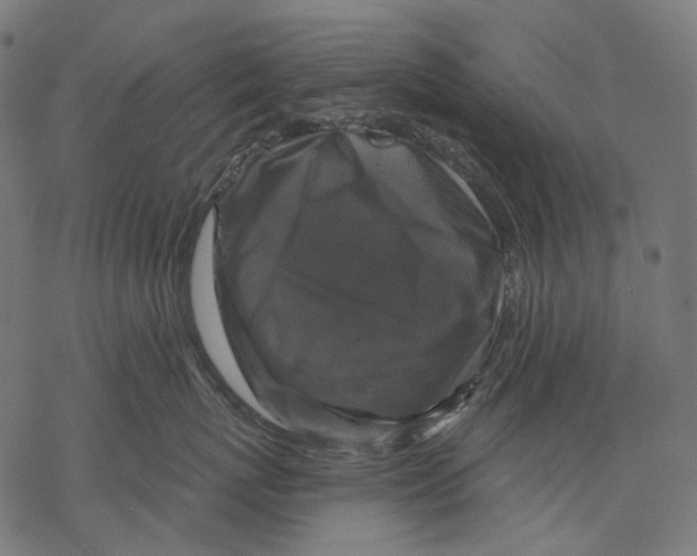 X0000068810767200605261525