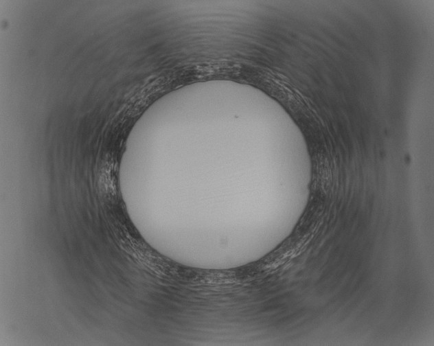X0000068810770200605261525