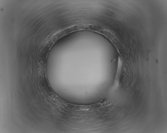 X0000068810773200605261525