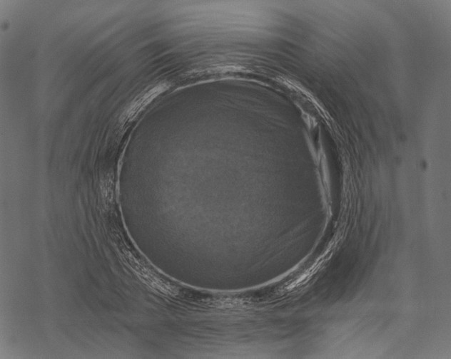 X0000068810785200605261524