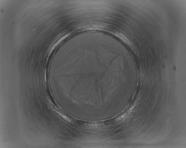 X0000068810790200605261524