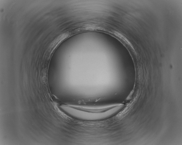 X0000068810801200605261524