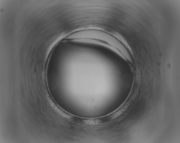 X0000068810805200605261524