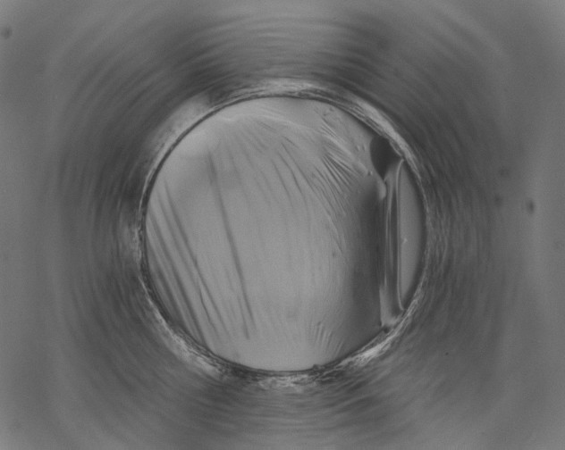 X0000068810810200605261524