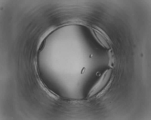 X0000068810812200605261524