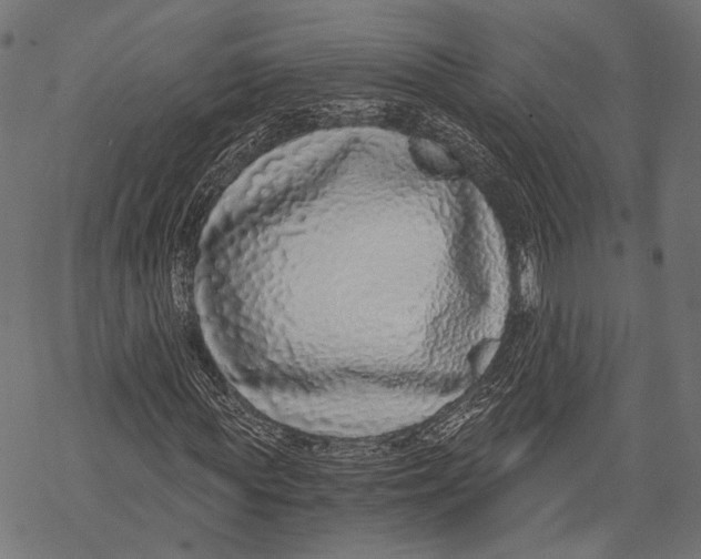 X0000068810819200605261523