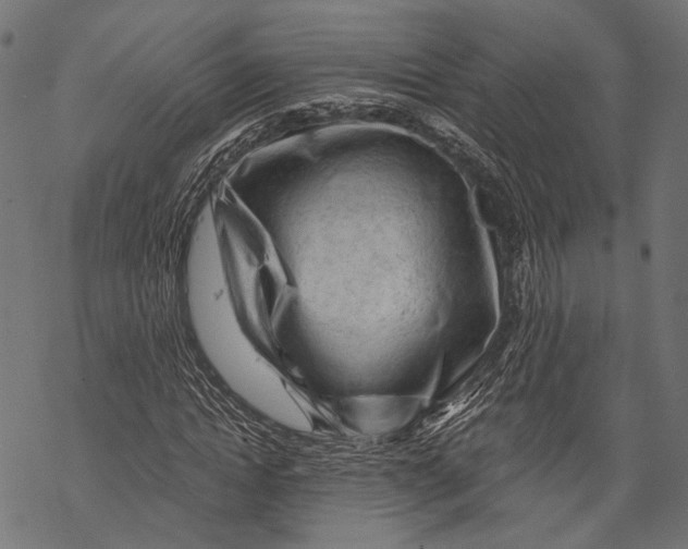 X0000068810822200605261523