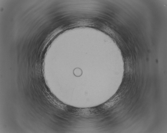 X0000068810828200605261523