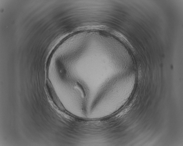 X0000068810844200605261524