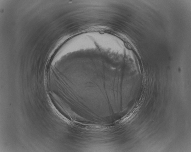 X0000068810851200605261524