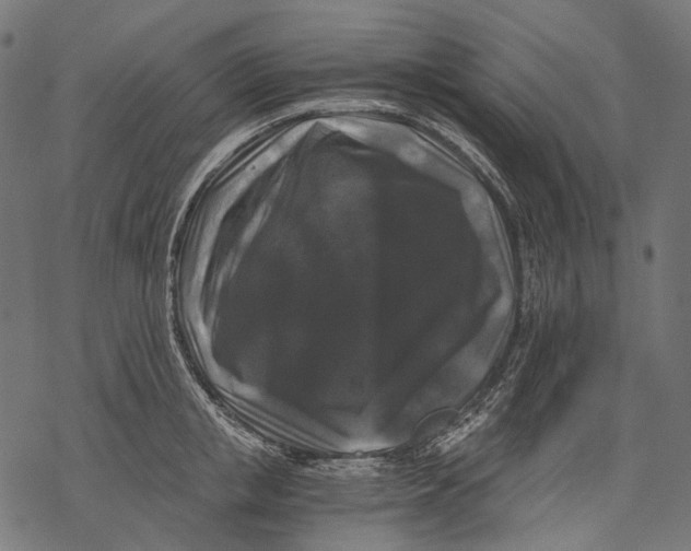 X0000068810853200605261524