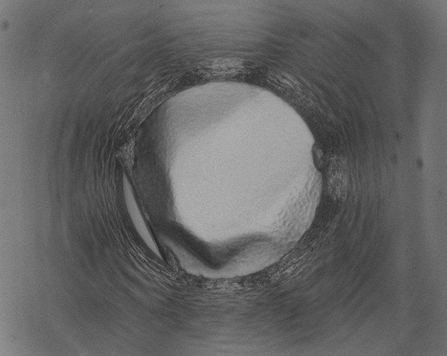 X0000068810866200605261523