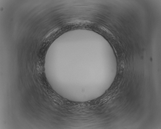 X0000068810869200605261523