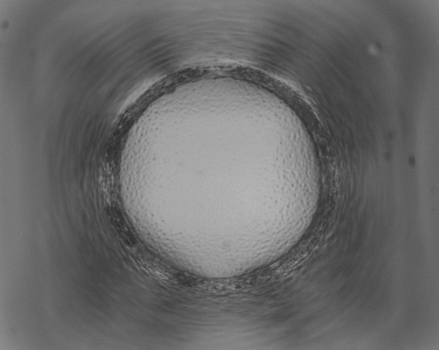 X0000068810871200605261523