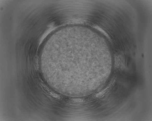 X0000068810878200605261523