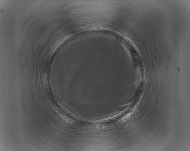 X0000068810881200605261523