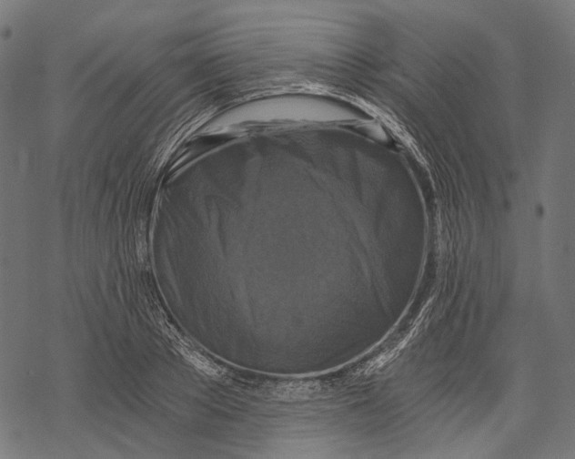 X0000068810889200605261523
