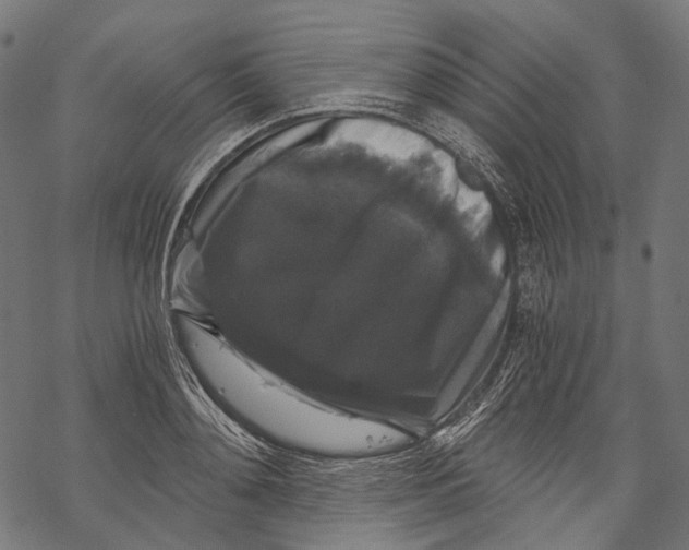 X0000068810892200605261523