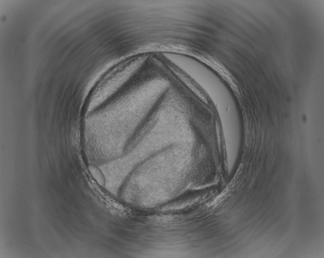 X0000068810896200605261523