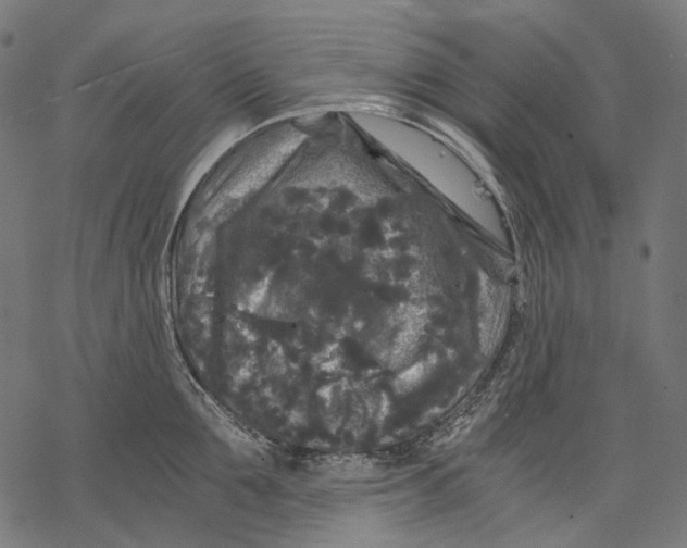 X0000068810907200605261522