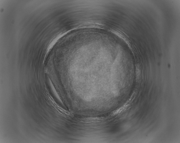 X0000068810925200605261522